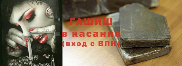 стаф Козельск