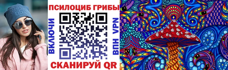 Галлюциногенные грибы Psilocybine cubensis  где найти наркотики  Лениногорск 